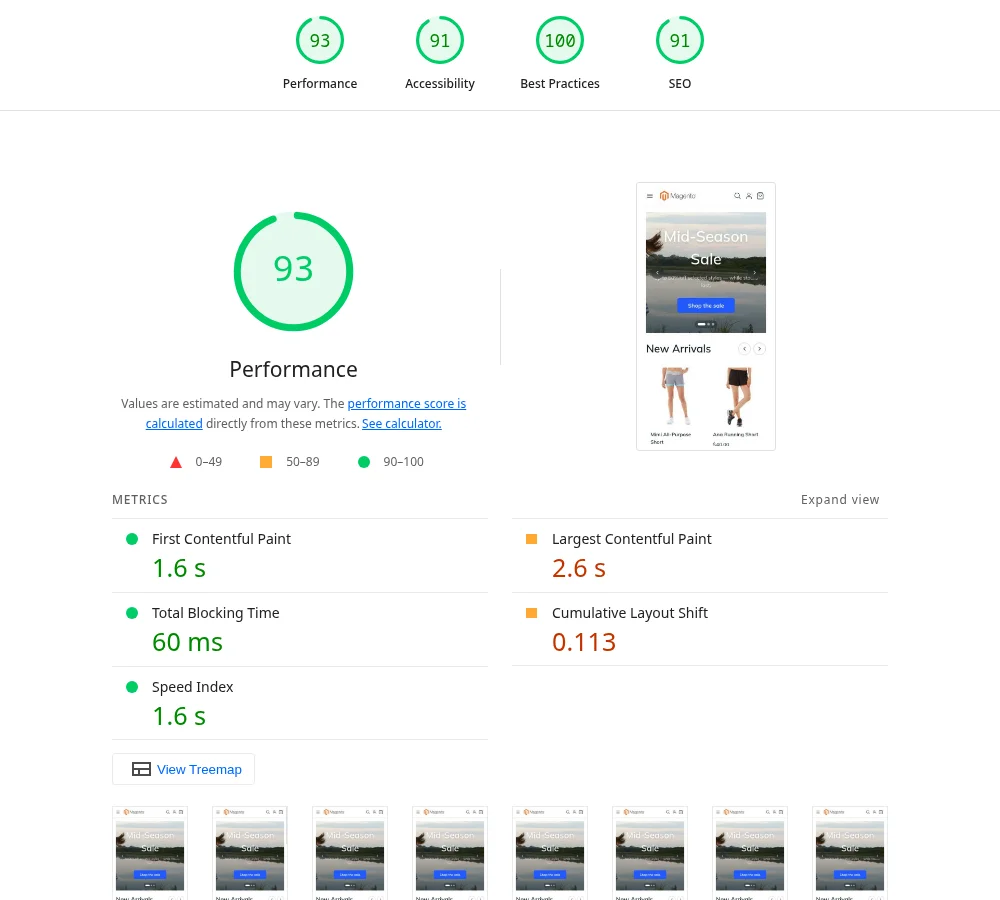 Lighthouse mobile report for the home page: Performance 93, Accessibility 91, Best Practices 100, SEO 91